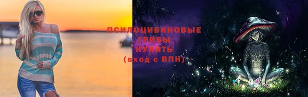 PSILOCYBIN Няндома