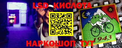 прущие грибы Абинск