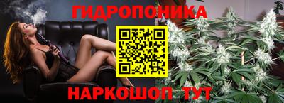 прущие грибы Абинск