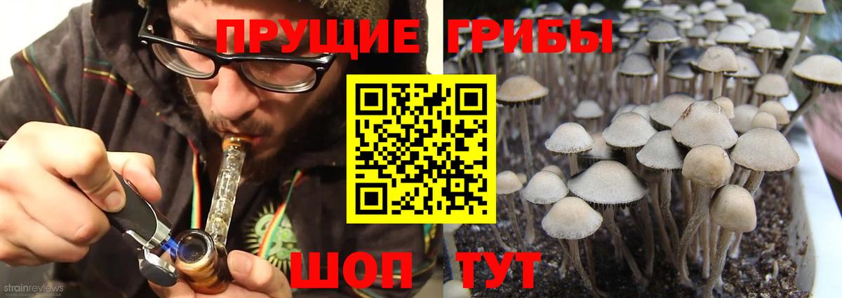 Галлюциногенные грибы Magic Shrooms  Вход с VPN  где купить наркоту  Ангарск 