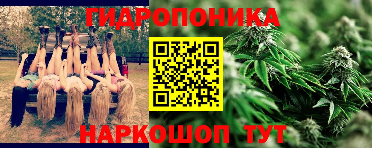 Канабис сатива Ангарск
